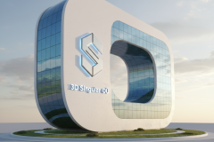 3d Singular Logo 3